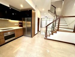 Holland Link (D10), Terrace #497123941